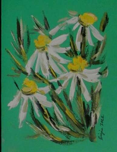 Daisies - 9