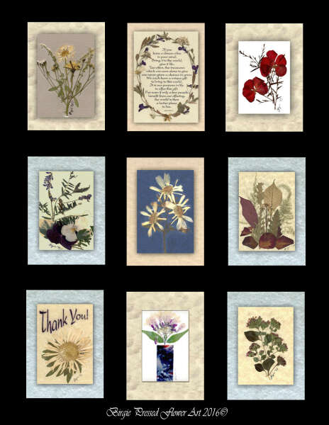 PRESSED FLOWER CARD SAMPLES