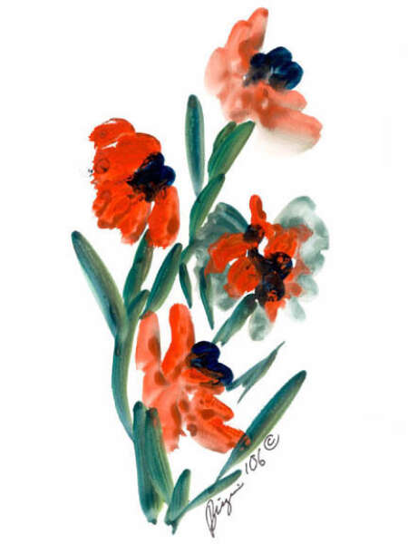 4 Poppies