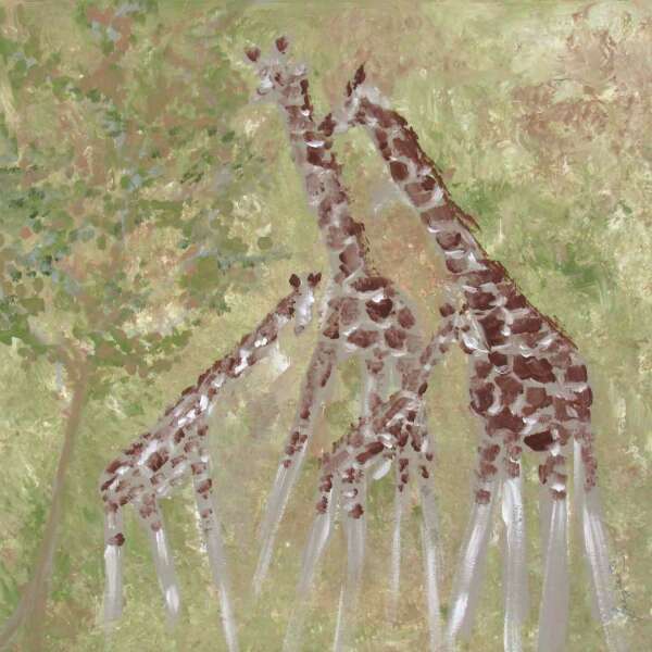 4 Giraffs