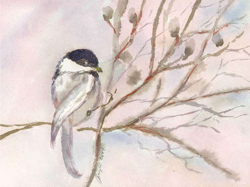 THE CHICKADEE