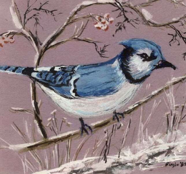 THE BLUE JAY