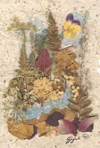 PRESSED FLOWERS