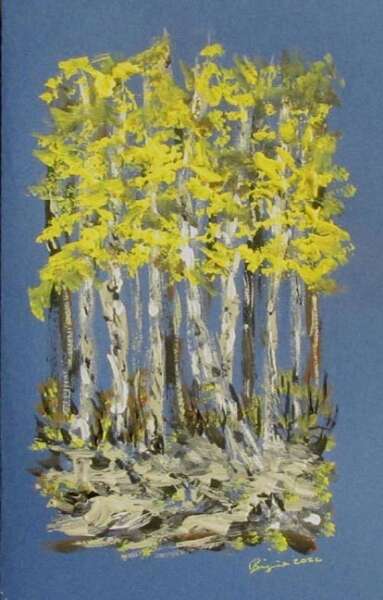 Birch trees