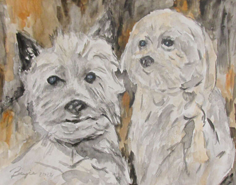 WESTIE & MALTESE