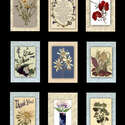 PRESSED FLOWER CARD SAMPLES