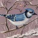 THE BLUE JAY