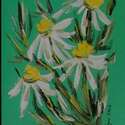 Daisies - 9