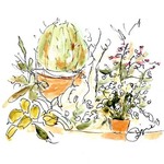 FLORAL SHOW HOUSE CACTUS