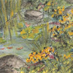 KOI POND